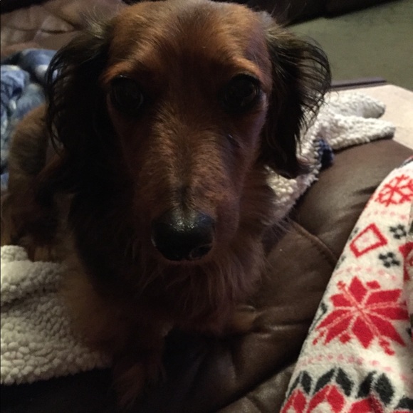 Meet your Posher, Julie - Picture 3 of 14